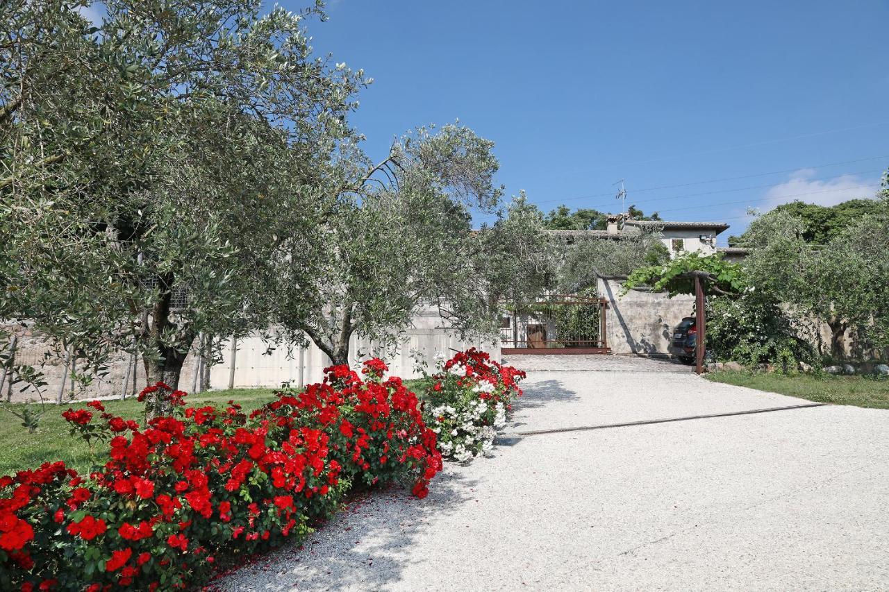 Serene Holiday And Wine Farm Affi Exterior photo