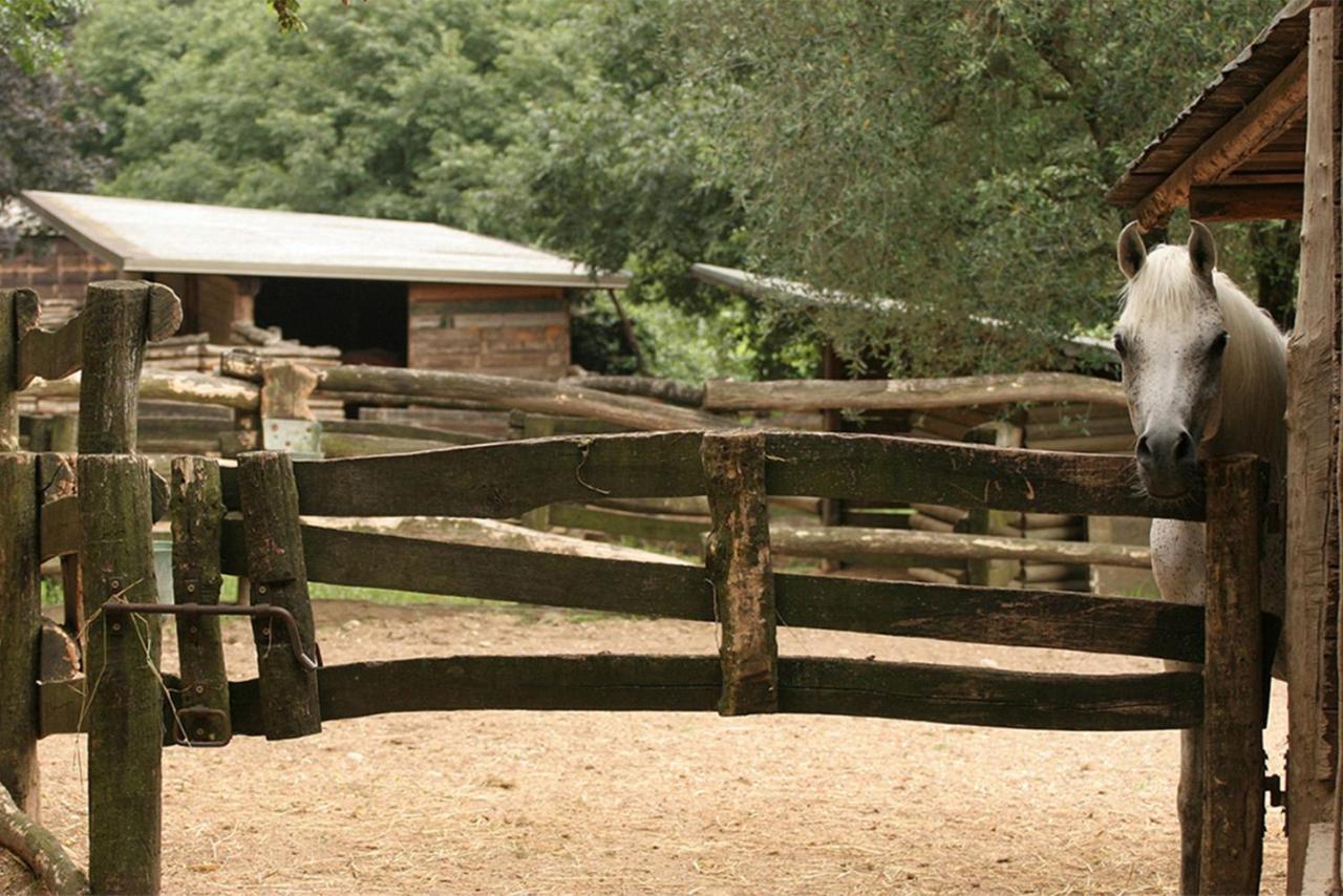 Serene Holiday And Wine Farm Affi Exterior photo