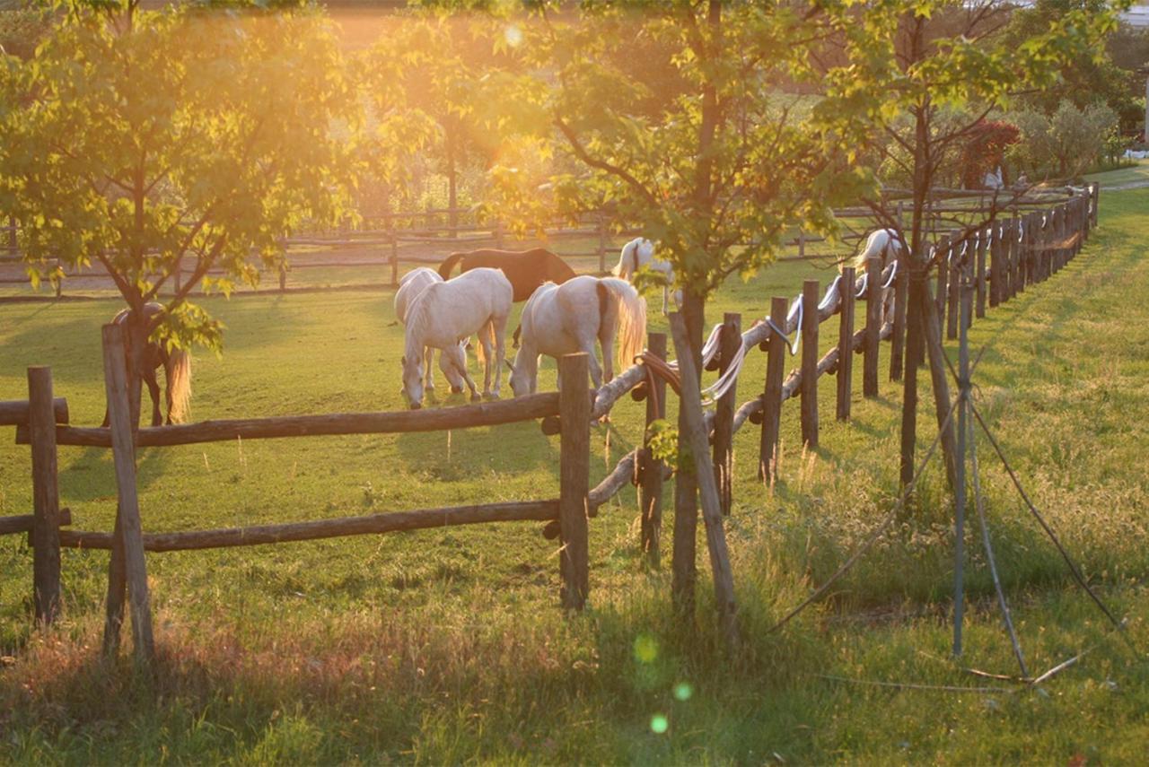 Serene Holiday And Wine Farm Affi Exterior photo